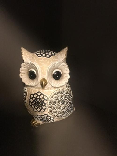 Nordic Cute Owl Resin Sculpture Figurine for Home Decor photo review