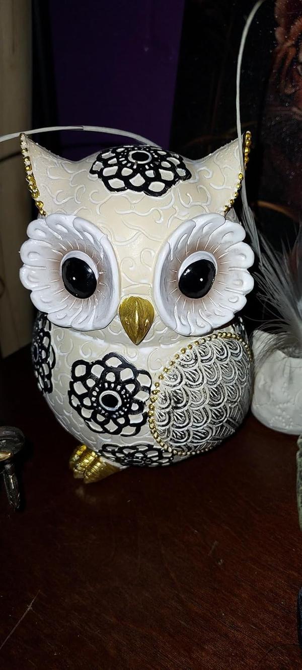 Nordic Cute Owl Resin Sculpture Figurine for Home Decor photo review