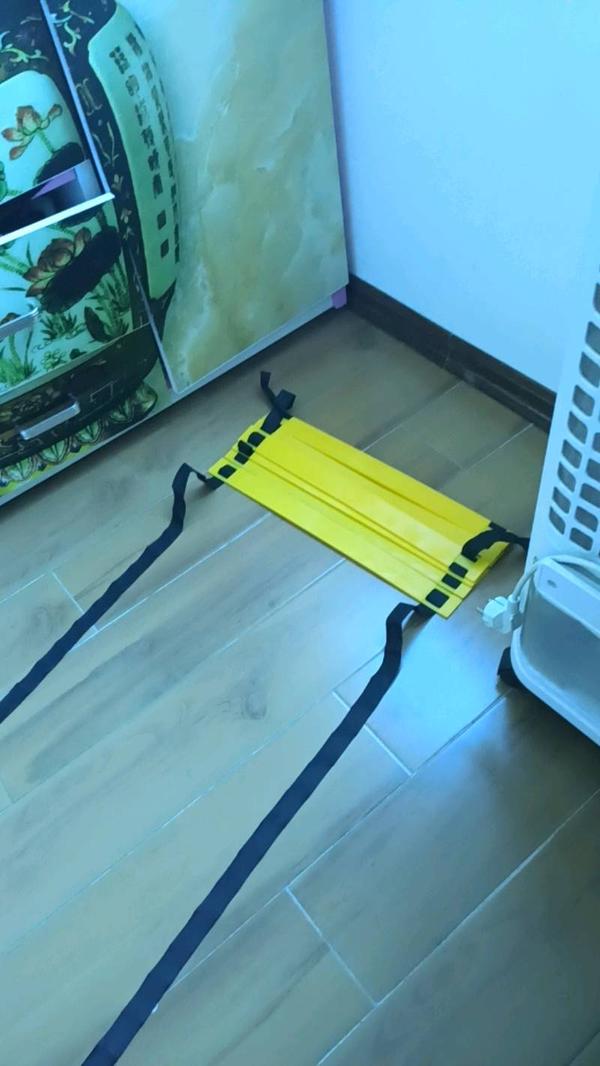 Nylon Straps Speed Training Ladders photo review