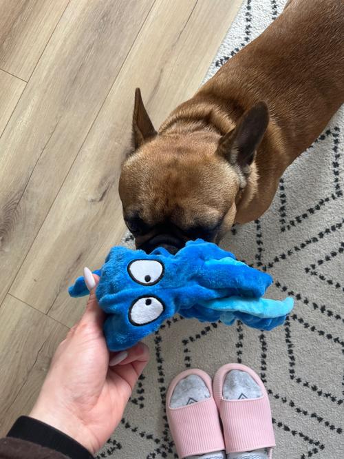 Octopus Plush Dog Toys for Teething - Soft, Durable, Interactive Chew Toys photo review