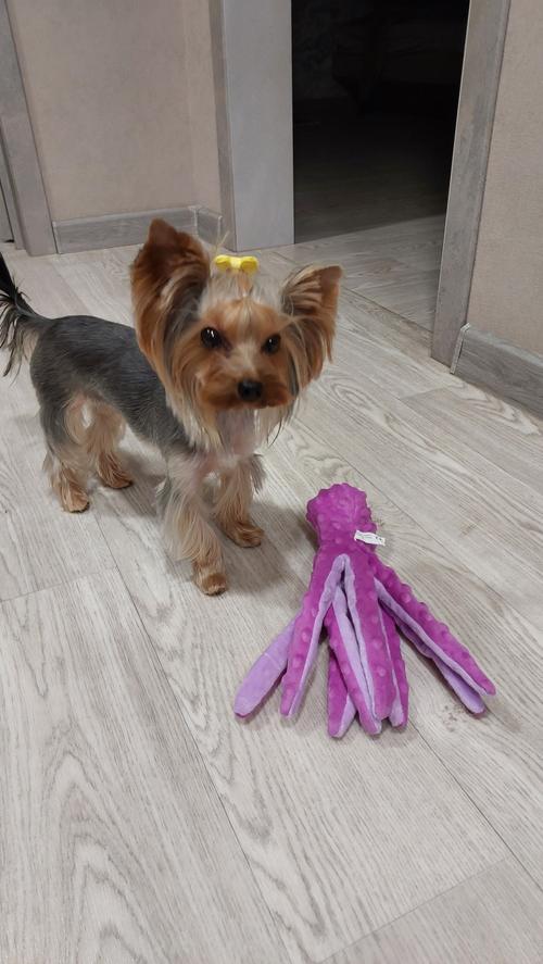 Octopus Plush Dog Toys for Teething - Soft, Durable, Interactive Chew Toys photo review