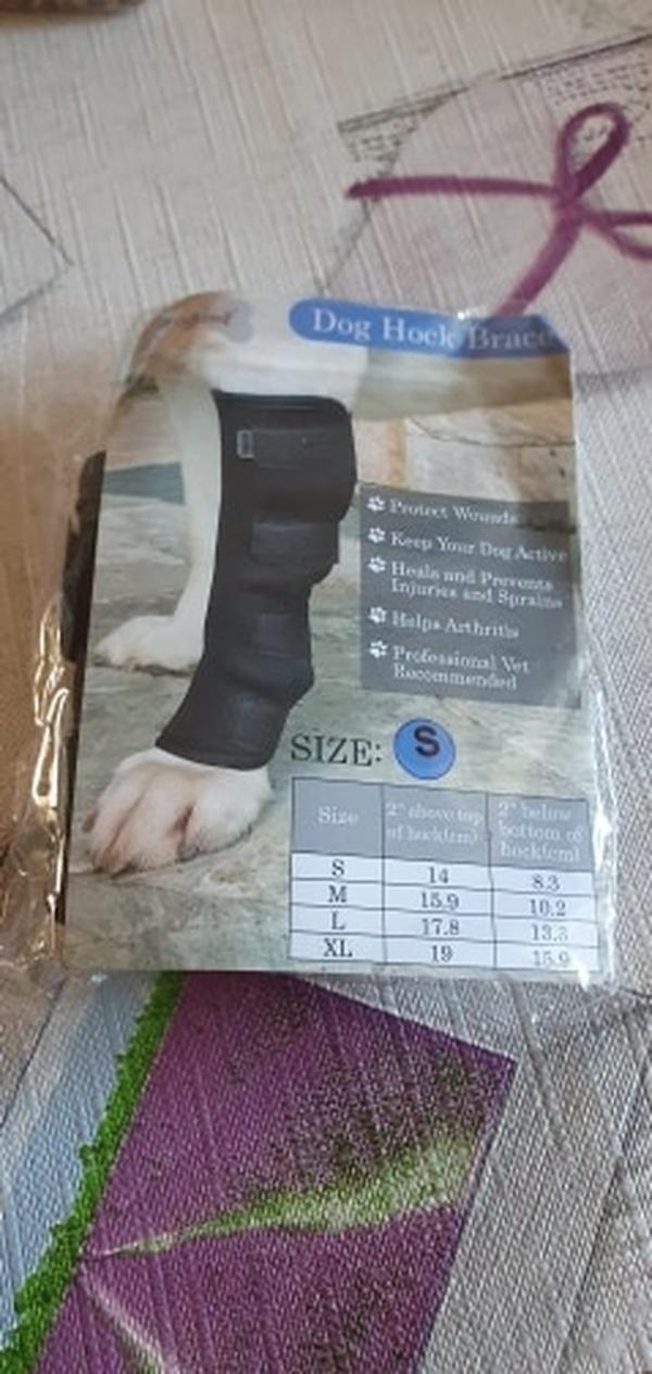 Pet Knee Pad Brace for Dog Leg Injury Recovery photo review