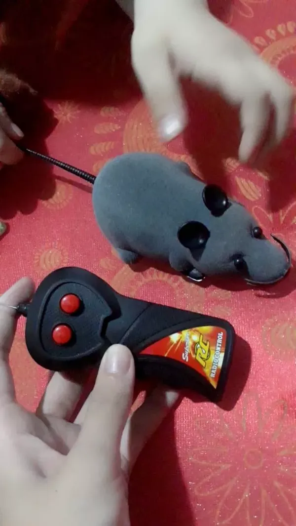 Pet Wireless Remote Control Toy Mouse photo review