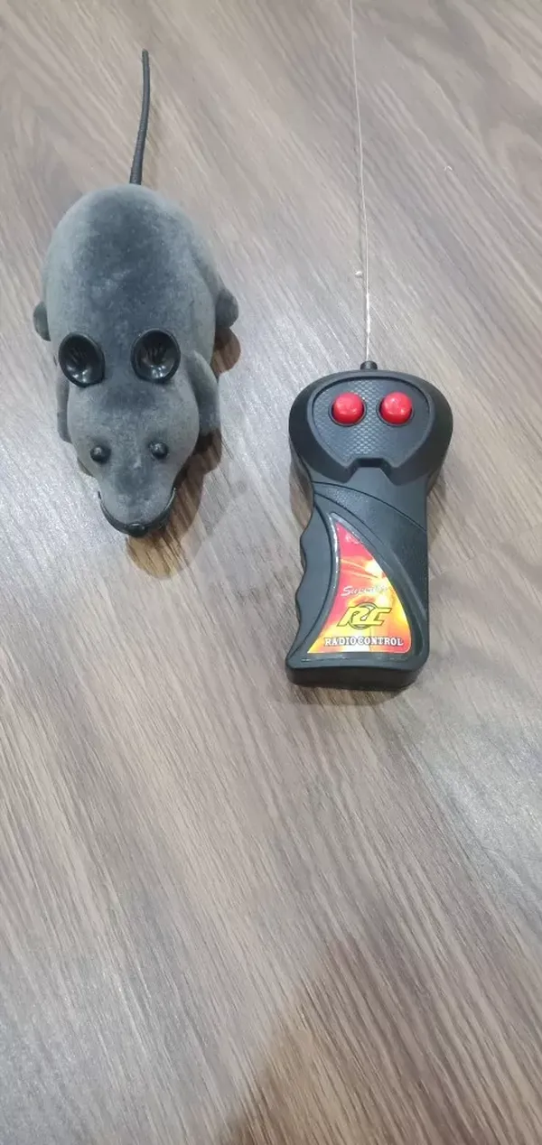 Pet Wireless Remote Control Toy Mouse photo review