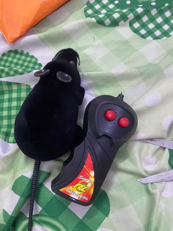 Pet Wireless Remote Control Toy Mouse photo review