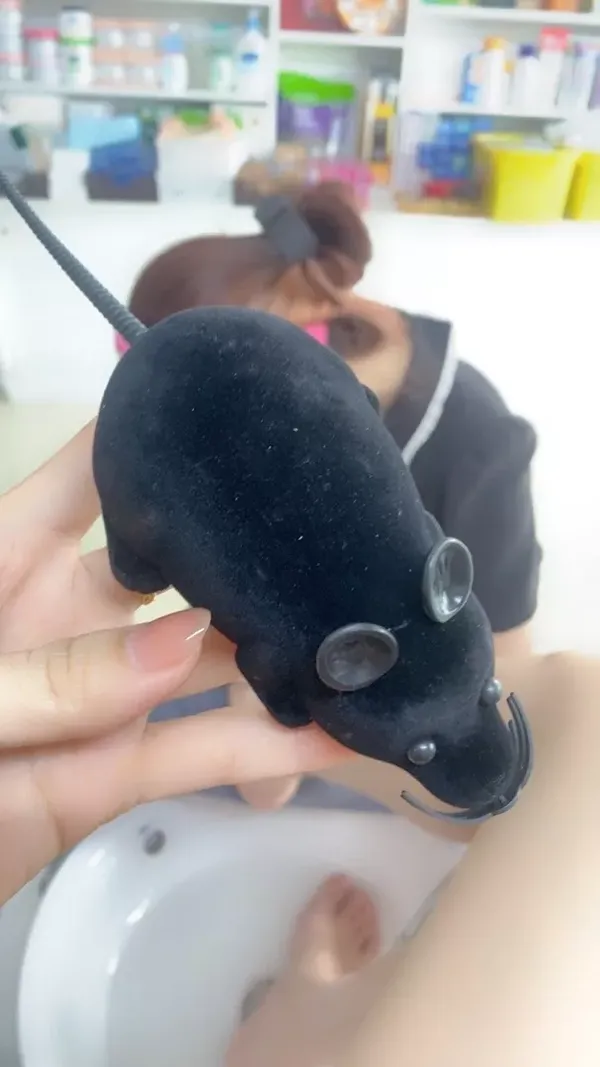 Pet Wireless Remote Control Toy Mouse photo review