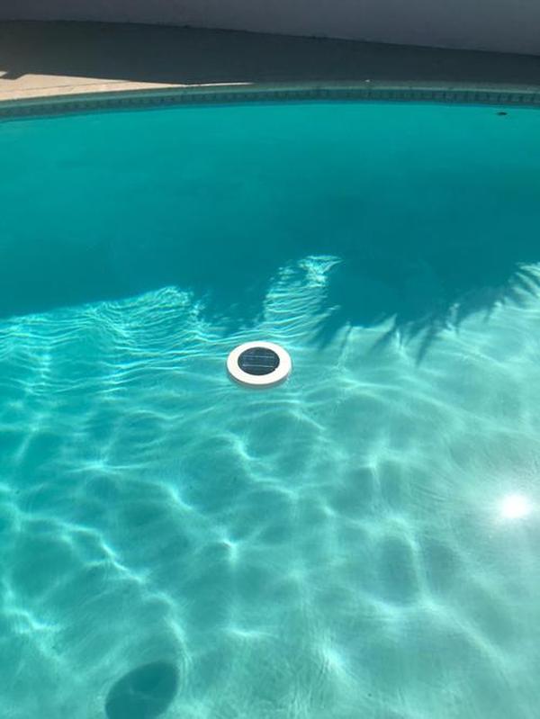 Portable Solar Pool Ionizer for Copper & Silver Ionization - Removes Impurities photo review