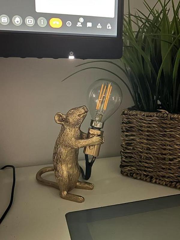 Post-Modern Resin Mouse LED Table Lamp - Creative Night Light for Bedroom, Bedside, Study Desk photo review