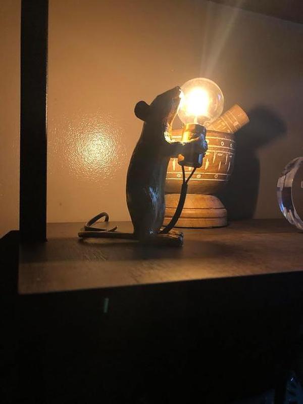 Post-Modern Resin Mouse LED Table Lamp - Creative Night Light for Bedroom, Bedside, Study Desk photo review