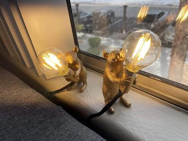 Post-Modern Resin Mouse LED Table Lamp - Creative Night Light for Bedroom, Bedside, Study Desk photo review