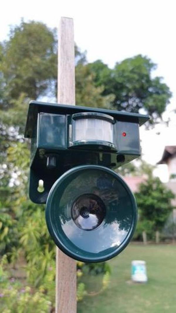 Premium Motion Sensor Bird Repeller & Scarer photo review