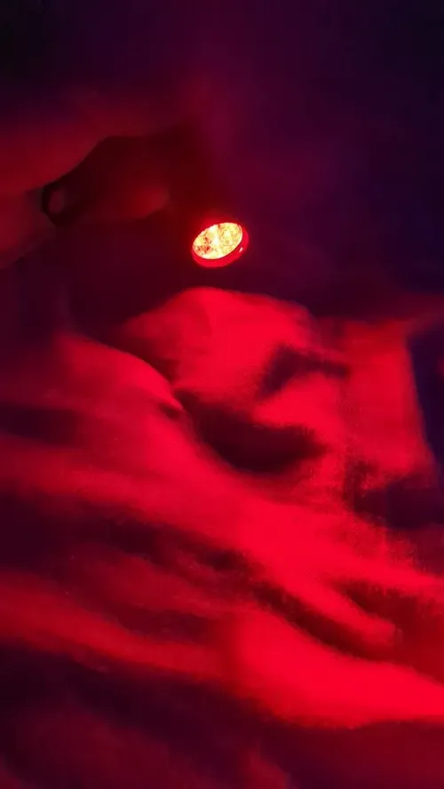 Professional Vein Finder Transilluminator Black Vein Finder Light photo review