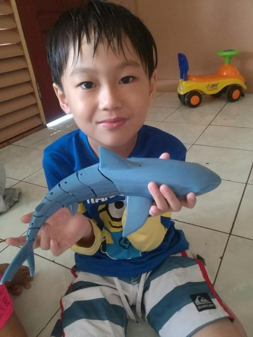 RC Shark Toy 2.4G - Realistic Swimming Shark photo review