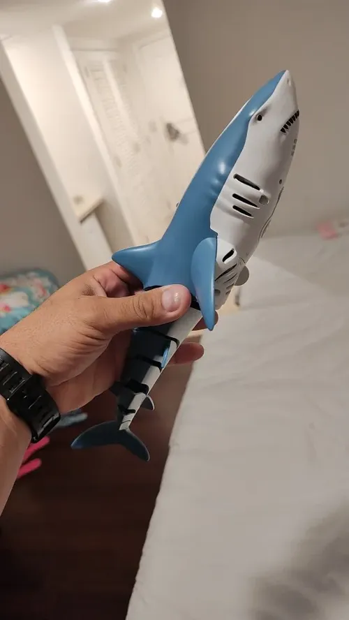 RC Shark Toy 2.4G - Realistic Swimming Shark photo review