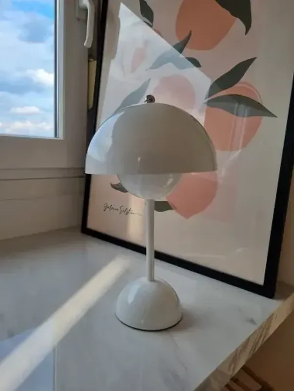 Rechargeable Mushroom Flower Bud LED Table Lamp with Touch Control for Bedroom, Restaurant, Cafe, Modern Decor photo review