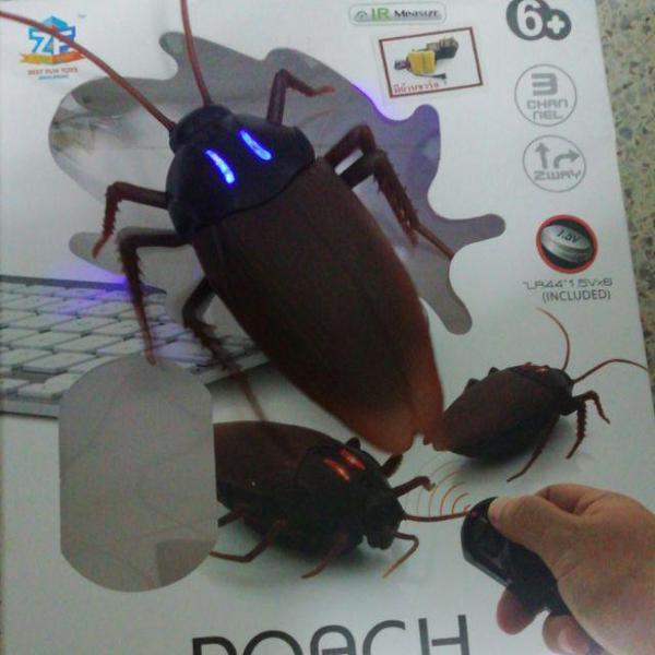 Remote Control Cockroach photo review