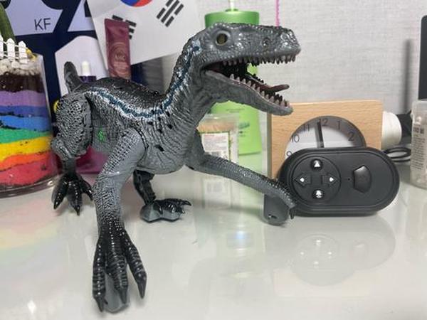 Remote Control Dinosaur photo review