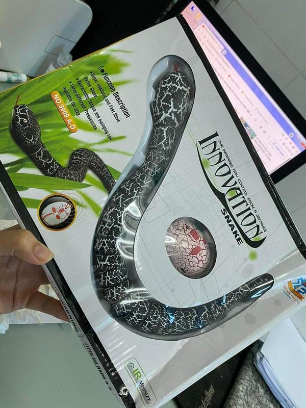 Remote Control Snake photo review