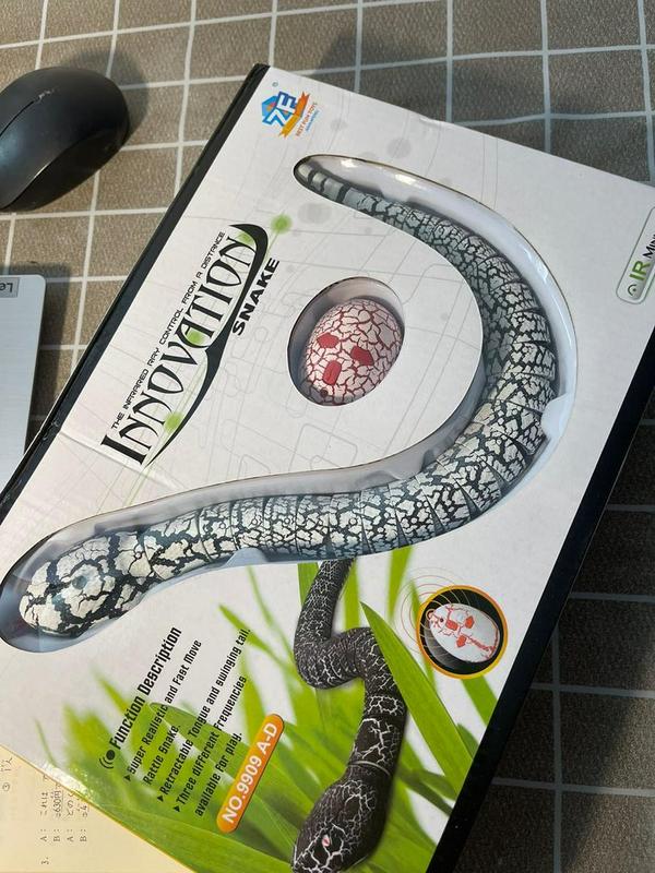 Remote Control Snake photo review