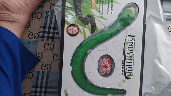 Remote Control Snake photo review