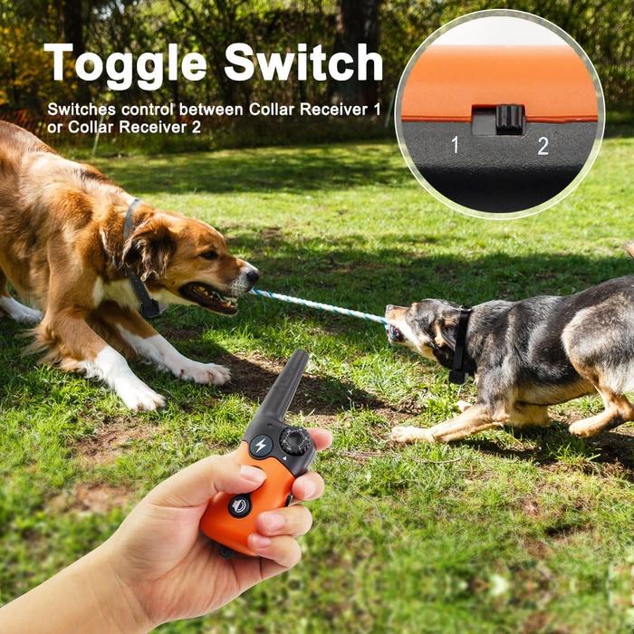Remote Dog Training Collar