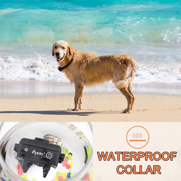 Remote Dog Training Collar