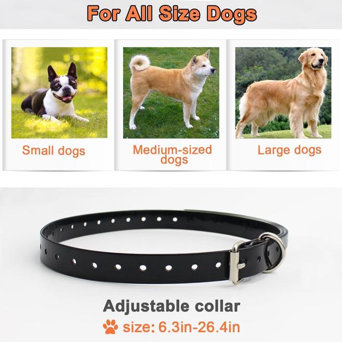 Remote Dog Training Collar