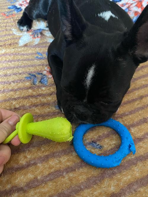 Rubber Pacifier Ring Shape Bite Resistant Puppy Teeth Cleaning Chew Toys for Small Dogs photo review