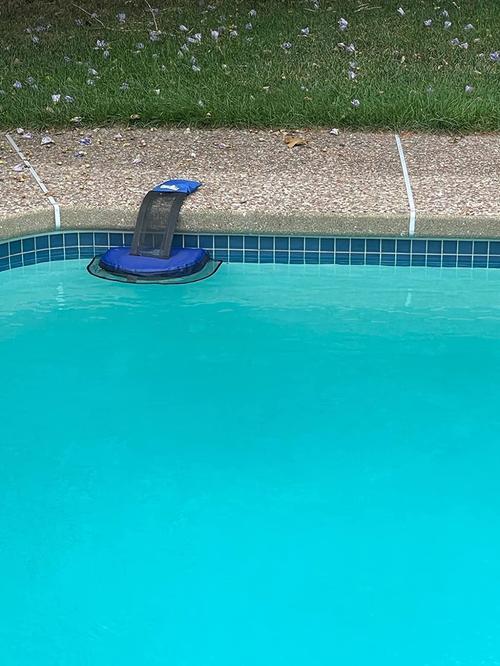 Safe Escape Ramp for Frogs and Small Animals in Swimming Pool photo review