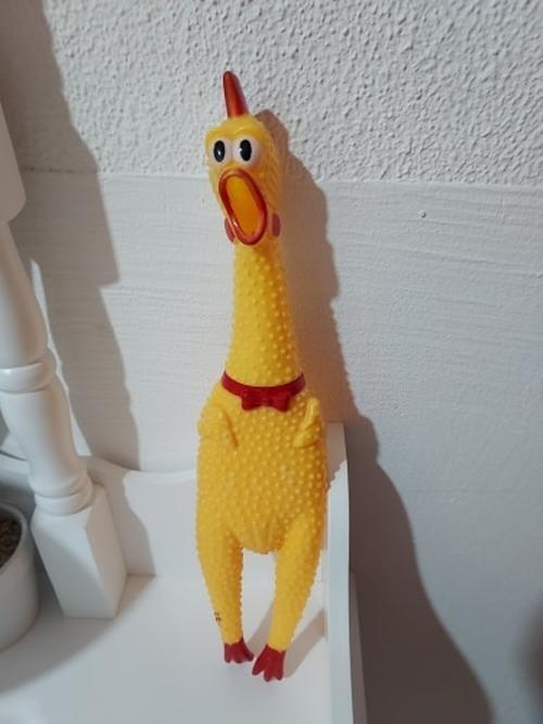 Screaming Chicken Dog Toy - Small Size, Durable & Interactive photo review