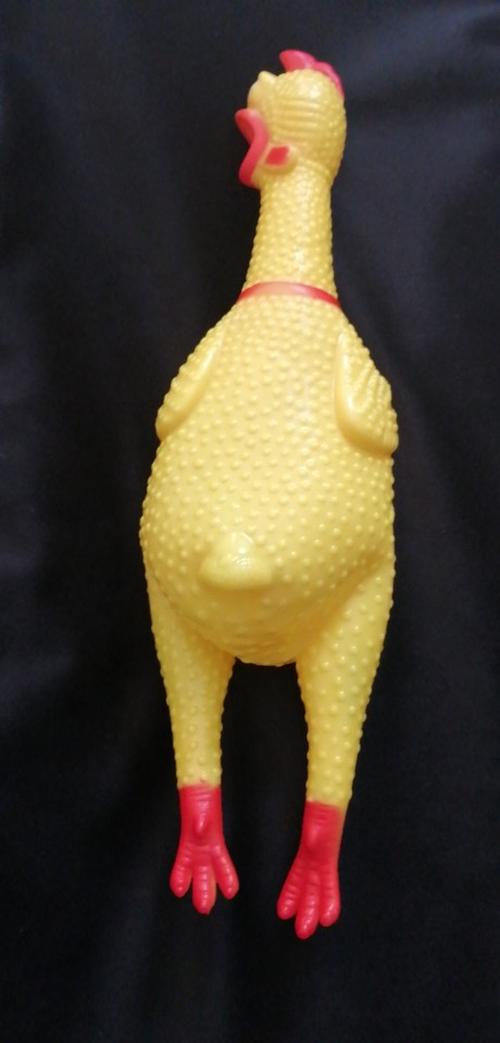 Screaming Chicken Dog Toy - Small Size, Durable & Interactive photo review