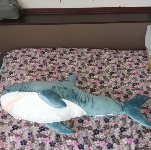 Shark Stuffed Animal Creative Cute Shark Doll Bedroom Sofa Decoration Plush Toys photo review