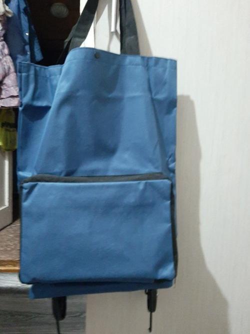 Shopping Bag On Wheels photo review