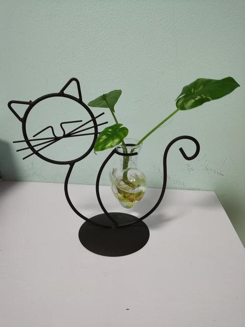 Simple Cat Iron Hydroponic Flower Vase - Innovative Home Living Room Decor photo review