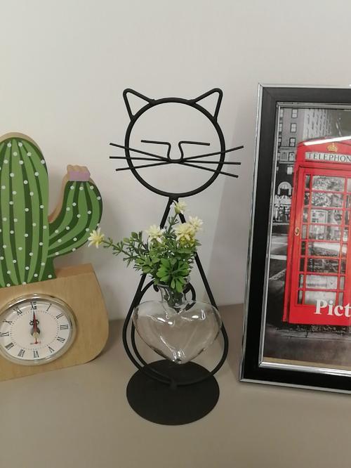 Simple Cat Iron Hydroponic Flower Vase - Innovative Home Living Room Decor photo review