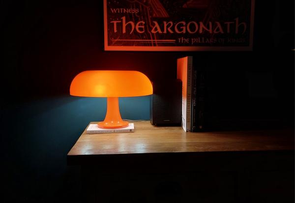 Simple Style Mushroom Lamp Table Lamp photo review