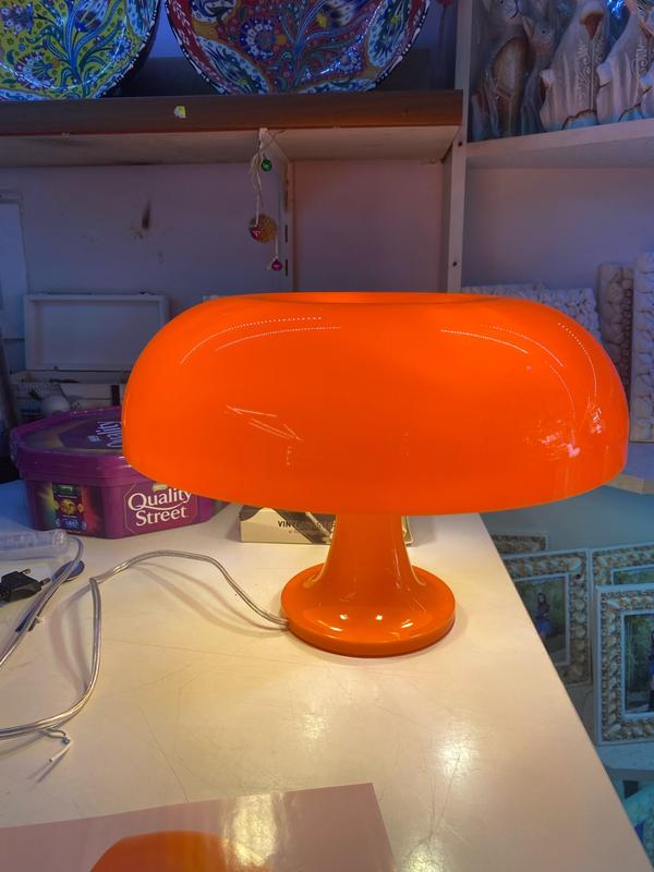 Simple Style Mushroom Lamp Table Lamp photo review