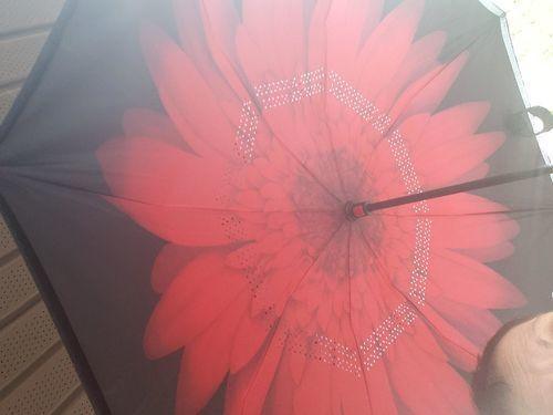 Smart-Brella - The World's First Reversible Umbrella photo review