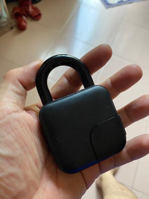 Smart Fingerprint Lock Security Device photo review