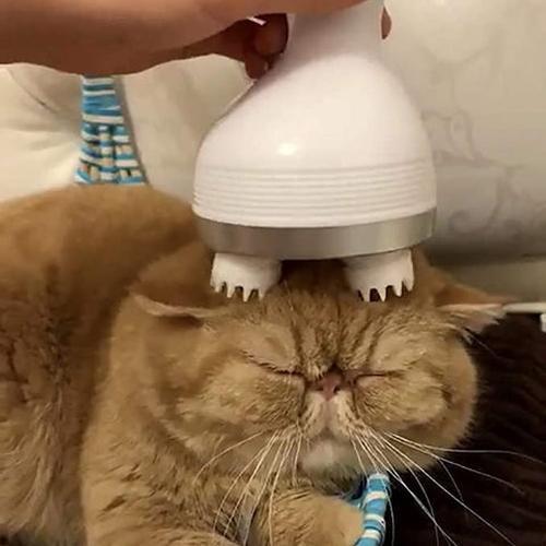 Smart Scalp Massager Electric Massager That Makes Dogs and Cats Happy