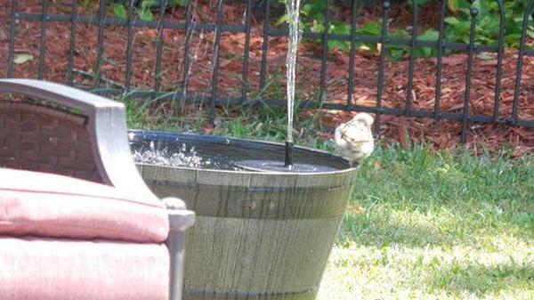 Smartgarden - Solar Powered Bird Bath Fountain Kit photo review