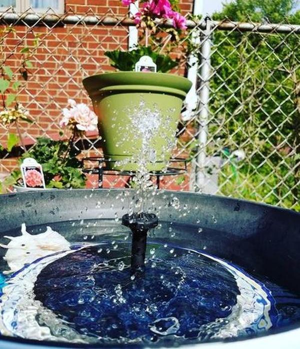 Smartgarden - Solar Powered Bird Bath Fountain Kit photo review