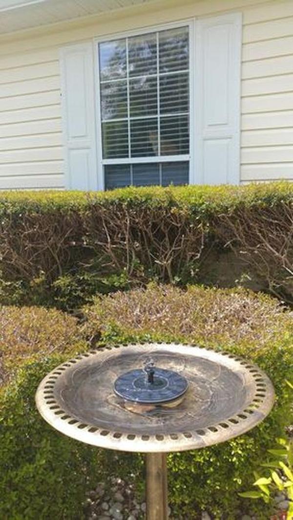 Smartgarden - Solar Powered Bird Bath Fountain Kit photo review