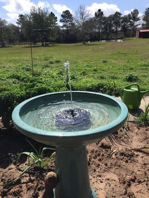 Smartgarden - Solar Powered Bird Bath Fountain Kit photo review