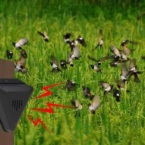 Solar Animal Repellent with 13 Sound Modes