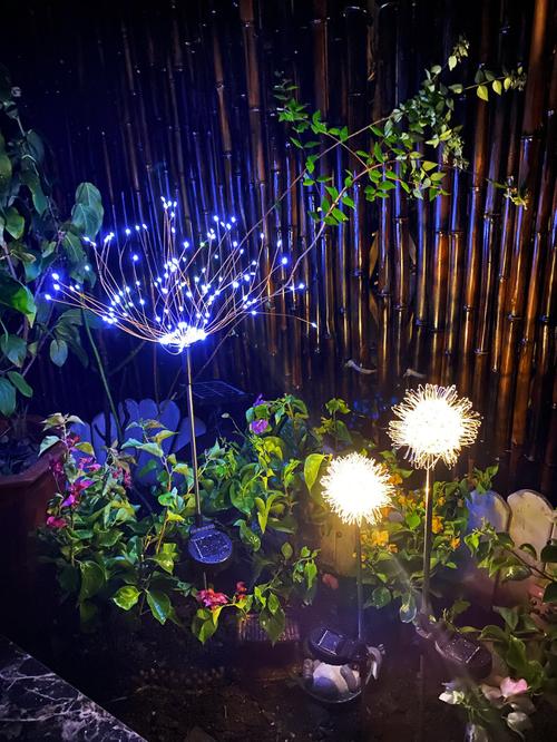 Solar Light Solar Dandelion Plug In Light Garden Decoration LED Light photo review