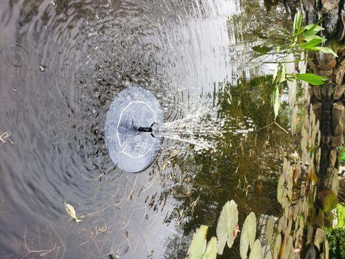 Solar-Powered Bird Fountain Kit, Outdoor Beautification Solar Fountain Pump photo review