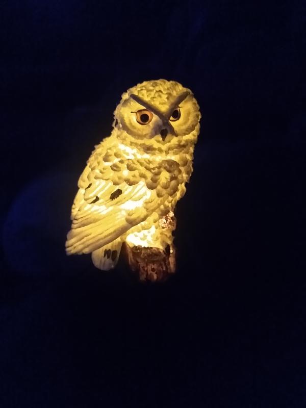 Solar Powered Garden Lights , Owl Waterproof Outdoor LED Lights photo review