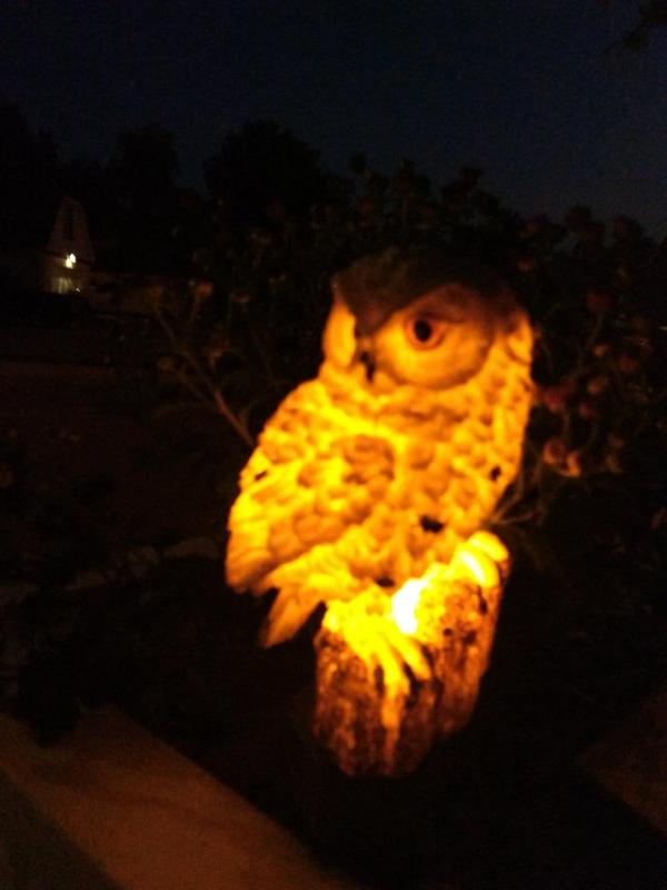 Solar Powered Garden Lights , Owl Waterproof Outdoor LED Lights photo review