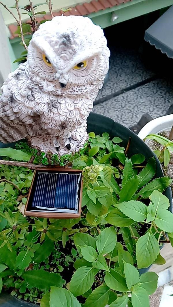 Solar Powered Garden Lights , Owl Waterproof Outdoor LED Lights photo review